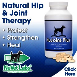 nujoint plus